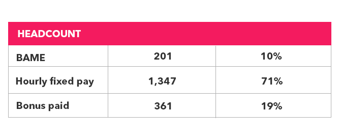 Table showing employees who disclosed their ethnicity 