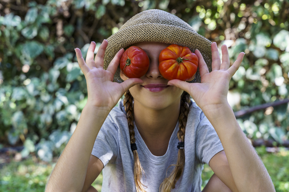 Little caucasian kid girl having fun with food vegetables at the garden. Vegetables in domestic garden.